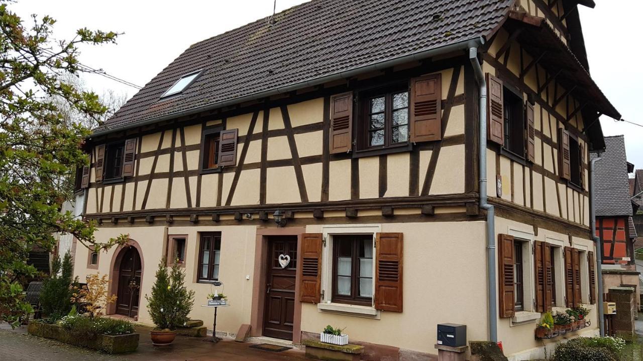 GITE A LA PETITE FONTAINE-PLAIN PIED-MAISON ALSACIENNE RENOVEE AVEC PASSION-4 PERS-4nuitées minimum Langensoultzbach Esterno foto