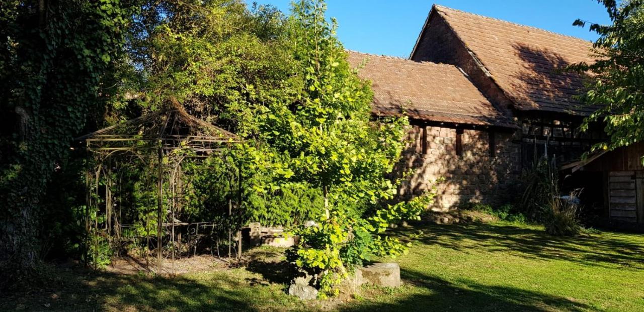 GITE A LA PETITE FONTAINE-PLAIN PIED-MAISON ALSACIENNE RENOVEE AVEC PASSION-4 PERS-4nuitées minimum Langensoultzbach Esterno foto