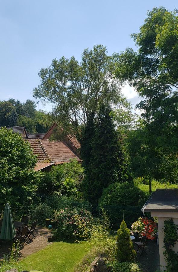 GITE A LA PETITE FONTAINE-PLAIN PIED-MAISON ALSACIENNE RENOVEE AVEC PASSION-4 PERS-4nuitées minimum Langensoultzbach Esterno foto