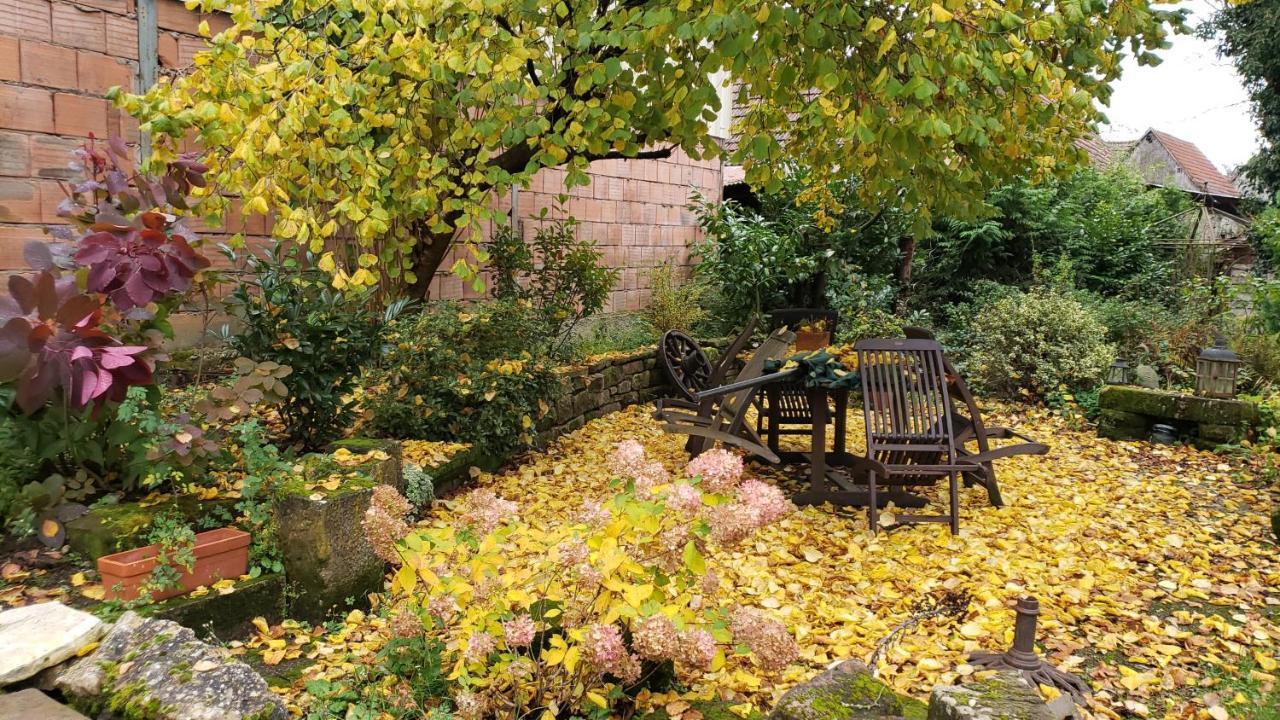 GITE A LA PETITE FONTAINE-PLAIN PIED-MAISON ALSACIENNE RENOVEE AVEC PASSION-4 PERS-4nuitées minimum Langensoultzbach Esterno foto