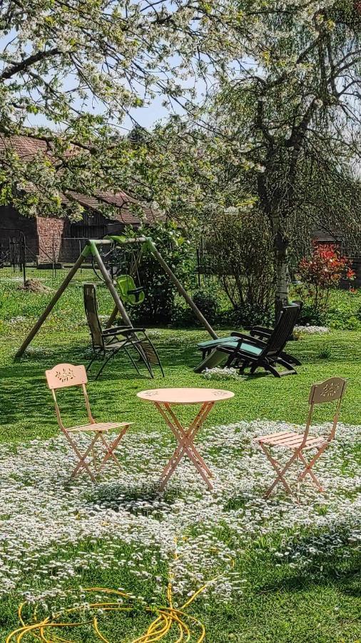 GITE A LA PETITE FONTAINE-PLAIN PIED-MAISON ALSACIENNE RENOVEE AVEC PASSION-4 PERS-4nuitées minimum Langensoultzbach Esterno foto